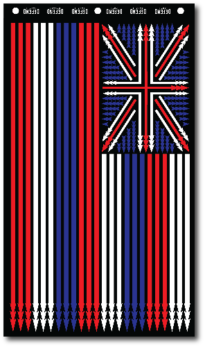 Hawai‘i Spear Flag