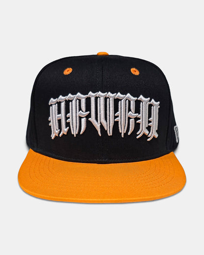 OG DEFENDER Snapback