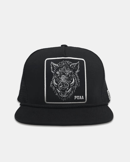 PUA&