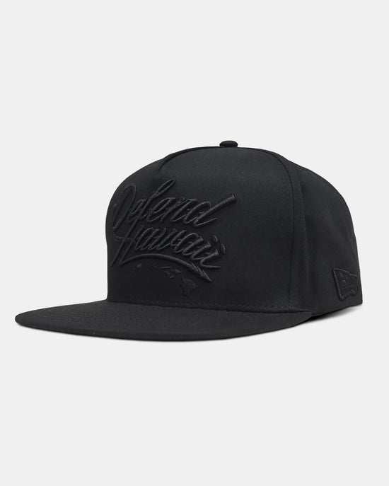 WILDSTYLE LOGO All Black Snapback